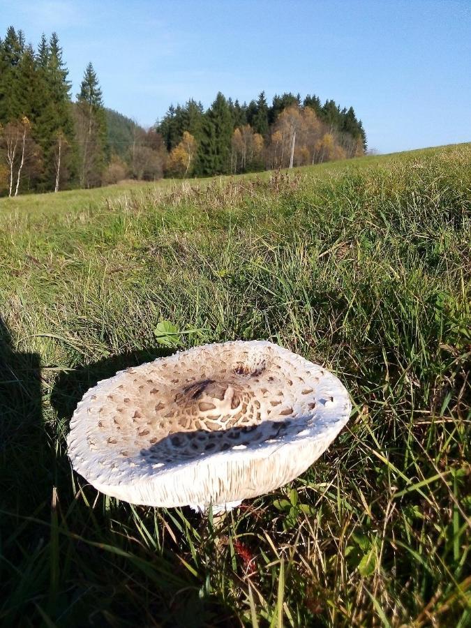 Apartmány Petronela Trencsénmakó Kültér fotó